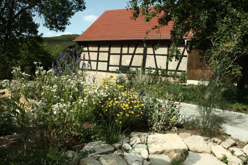 Cafe Landart Im Thueringer Finistere Apartment Plaue  Стая снимка